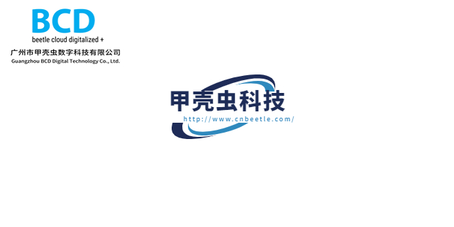 甲殼蟲網(wǎng)站海外定制